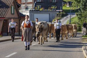 Alpabfahrt, Alpfahrt, Appenzell, Appenzell Ausserrohden, Appenzeller Hinterland, Brauchtum, Kühe, Landwirtschaft, Ostschweiz, Schweiz, Sennen, Suisse, Switzerland, Tracht, Urnäsch, Wirtschaft, Öberefahre