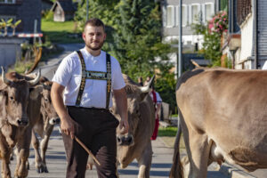 Alpabfahrt, Alpfahrt, Appenzell, Appenzell Ausserrohden, Appenzeller Hinterland, Brauchtum, Kühe, Landwirtschaft, Ostschweiz, Schweiz, Sennen, Suisse, Switzerland, Tracht, Urnäsch, Wirtschaft, Öberefahre