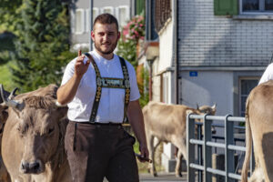 Alpabfahrt, Alpfahrt, Appenzell, Appenzell Ausserrohden, Appenzeller Hinterland, Brauchtum, Kühe, Landwirtschaft, Ostschweiz, Schweiz, Sennen, Suisse, Switzerland, Tracht, Urnäsch, Wirtschaft, Öberefahre