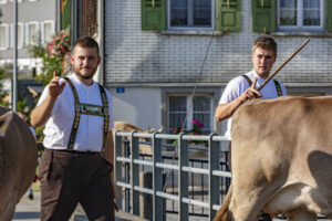 Alpabfahrt, Alpfahrt, Appenzell, Appenzell Ausserrohden, Appenzeller Hinterland, Brauchtum, Kühe, Landwirtschaft, Ostschweiz, Schweiz, Sennen, Suisse, Switzerland, Tracht, Urnäsch, Wirtschaft, Öberefahre