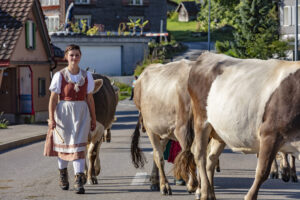 Alpabfahrt, Alpfahrt, Appenzell, Appenzell Ausserrohden, Appenzeller Hinterland, Brauchtum, Kühe, Landwirtschaft, Ostschweiz, Schweiz, Sennen, Suisse, Switzerland, Tracht, Urnäsch, Wirtschaft, Öberefahre