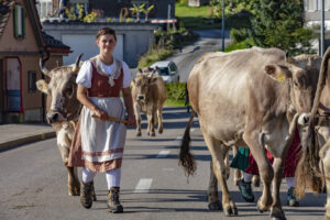 Alpabfahrt, Alpfahrt, Appenzell, Appenzell Ausserrohden, Appenzeller Hinterland, Brauchtum, Kühe, Landwirtschaft, Ostschweiz, Schweiz, Sennen, Suisse, Switzerland, Tracht, Urnäsch, Wirtschaft, Öberefahre