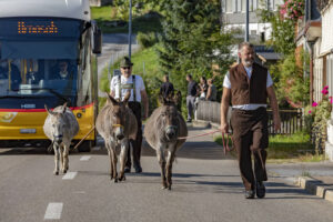 Alpabfahrt, Alpfahrt, Appenzell, Appenzell Ausserrohden, Appenzeller Hinterland, Brauchtum, Landwirtschaft, Ostschweiz, Schweiz, Sennen, Suisse, Switzerland, Tracht, Urnäsch, Wirtschaft, Öberefahre