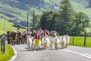 Alpabfahrt, Alpfahrt, Appenzell, Appenzell Ausserrohden, Appenzeller Hinterland, Brauchtum, Landwirtschaft, Ostschweiz, Schweiz, Sennen, Suisse, Switzerland, Tracht, Urnäsch, Wirtschaft, Öberefahre