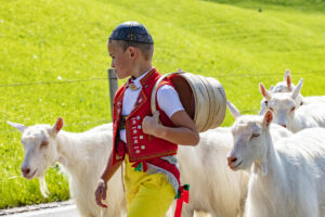 Alpabfahrt, Alpfahrt, Appenzell, Appenzell Ausserrohden, Appenzeller Hinterland, Brauchtum, Landwirtschaft, Ostschweiz, Schweiz, Sennen, Suisse, Switzerland, Tracht, Urnäsch, Wirtschaft, Öberefahre
