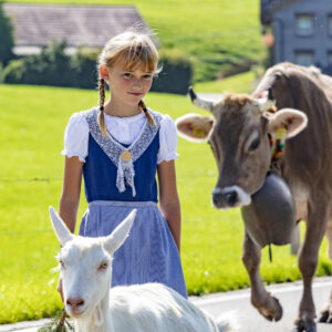 Alpabfahrt, Alpfahrt, Appenzell, Appenzell Ausserrohden, Appenzeller Hinterland, Brauchtum, Landwirtschaft, Ostschweiz, Schweiz, Sennen, Suisse, Switzerland, Tracht, Urnäsch, Wirtschaft, Öberefahre