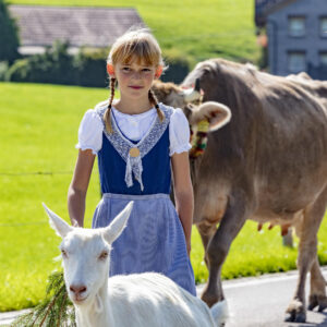 Alpabfahrt, Alpfahrt, Appenzell, Appenzell Ausserrohden, Appenzeller Hinterland, Brauchtum, Landwirtschaft, Ostschweiz, Schweiz, Sennen, Suisse, Switzerland, Tracht, Urnäsch, Wirtschaft, Öberefahre