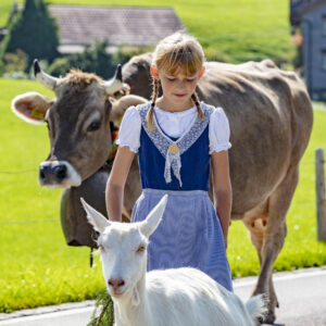 Alpabfahrt, Alpfahrt, Appenzell, Appenzell Ausserrohden, Appenzeller Hinterland, Brauchtum, Landwirtschaft, Ostschweiz, Schweiz, Sennen, Suisse, Switzerland, Tracht, Urnäsch, Wirtschaft, Öberefahre
