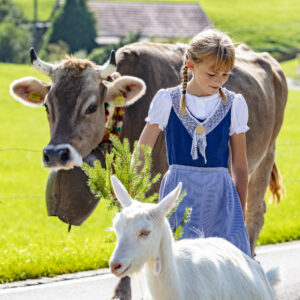 Alpabfahrt, Alpfahrt, Appenzell, Appenzell Ausserrohden, Appenzeller Hinterland, Brauchtum, Landwirtschaft, Ostschweiz, Schweiz, Sennen, Suisse, Switzerland, Tracht, Urnäsch, Wirtschaft, Öberefahre
