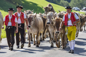 Alpabfahrt, Alpfahrt, Appenzell, Appenzell Ausserrohden, Appenzeller Hinterland, Brauchtum, Kühe, Landwirtschaft, Ostschweiz, Schweiz, Sennen, Suisse, Switzerland, Tracht, Urnäsch, Wirtschaft, Öberefahre