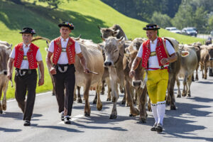 Alpabfahrt, Alpfahrt, Appenzell, Appenzell Ausserrohden, Appenzeller Hinterland, Brauchtum, Kühe, Landwirtschaft, Ostschweiz, Schweiz, Sennen, Suisse, Switzerland, Tracht, Urnäsch, Wirtschaft, Öberefahre
