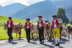 Alpabfahrt, Alpfahrt, Appenzell, Appenzell Ausserrohden, Appenzeller Hinterland, Brauchtum, Landwirtschaft, Ostschweiz, Schweiz, Sennen, Suisse, Switzerland, Tracht, Urnäsch, Wirtschaft, Öberefahre