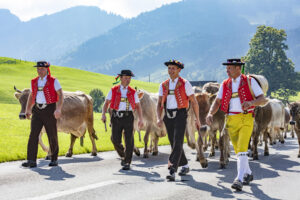 Alpabfahrt, Alpfahrt, Appenzell, Appenzell Ausserrohden, Appenzeller Hinterland, Brauchtum, Landwirtschaft, Ostschweiz, Schweiz, Sennen, Suisse, Switzerland, Tracht, Urnäsch, Wirtschaft, Öberefahre