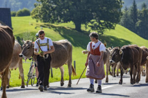 Alpabfahrt, Alpfahrt, Appenzell, Appenzell Ausserrohden, Appenzeller Hinterland, Brauchtum, Landwirtschaft, Ostschweiz, Schweiz, Sennen, Suisse, Switzerland, Tracht, Urnäsch, Wirtschaft, Öberefahre