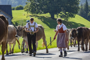 Alpabfahrt, Alpfahrt, Appenzell, Appenzell Ausserrohden, Appenzeller Hinterland, Brauchtum, Landwirtschaft, Ostschweiz, Schweiz, Sennen, Suisse, Switzerland, Tracht, Urnäsch, Wirtschaft, Öberefahre