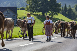 Alpabfahrt, Alpfahrt, Appenzell, Appenzell Ausserrohden, Appenzeller Hinterland, Brauchtum, Landwirtschaft, Ostschweiz, Schweiz, Sennen, Suisse, Switzerland, Tracht, Urnäsch, Wirtschaft, Öberefahre