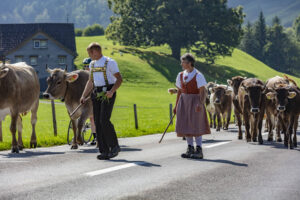 Alpabfahrt, Alpfahrt, Appenzell, Appenzell Ausserrohden, Appenzeller Hinterland, Brauchtum, Landwirtschaft, Ostschweiz, Schweiz, Sennen, Suisse, Switzerland, Tracht, Urnäsch, Wirtschaft, Öberefahre