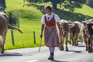 Alpabfahrt, Alpfahrt, Appenzell, Appenzell Ausserrohden, Appenzeller Hinterland, Brauchtum, Landwirtschaft, Ostschweiz, Schweiz, Sennen, Suisse, Switzerland, Tracht, Urnäsch, Wirtschaft, Öberefahre