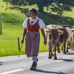 Alpabfahrt, Alpfahrt, Appenzell, Appenzell Ausserrohden, Appenzeller Hinterland, Brauchtum, Landwirtschaft, Ostschweiz, Schweiz, Sennen, Suisse, Switzerland, Tracht, Urnäsch, Wirtschaft, Öberefahre