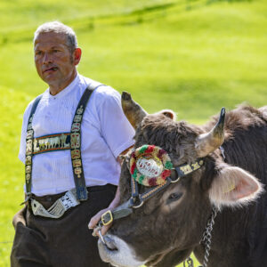 Alpabfahrt, Alpfahrt, Appenzell, Appenzell Ausserrohden, Appenzeller Hinterland, Brauchtum, Landwirtschaft, Ostschweiz, Schweiz, Sennen, Suisse, Switzerland, Tracht, Urnäsch, Wirtschaft, Öberefahre