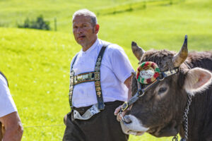 Alpabfahrt, Alpfahrt, Appenzell, Appenzell Ausserrohden, Appenzeller Hinterland, Brauchtum, Landwirtschaft, Ostschweiz, Schweiz, Sennen, Suisse, Switzerland, Tracht, Urnäsch, Wirtschaft, Öberefahre