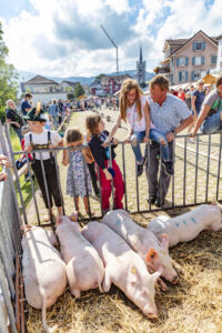 Alpabfahrt, Alpfahrt, Appenzell, Appenzell Ausserrohden, Appenzeller Hinterland, Bauernmarkt, Brauchtum, Landwirtschaft, Musik, Ostschweiz, Schwein, Schweine, Schweiz, Sennen, Suisse, Switzerland, Tracht, Urnäsch, Wirtschaft, Öberefahre