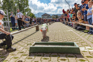 Alpabfahrt, Alpfahrt, Appenzell, Appenzell Ausserrohden, Appenzeller Hinterland, Bauernmarkt, Brauchtum, Landwirtschaft, Musik, Ostschweiz, Schwein, Schweine, Schweiz, Sennen, Suisse, Switzerland, Tracht, Urnäsch, Wirtschaft, Öberefahre