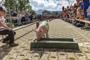 Alpabfahrt, Alpfahrt, Appenzell, Appenzell Ausserrohden, Appenzeller Hinterland, Bauernmarkt, Brauchtum, Landwirtschaft, Ostschweiz, Schwein, Schweine, Schweiz, Sennen, Suisse, Switzerland, Tracht, Urnäsch, Wirtschaft, Öberefahre