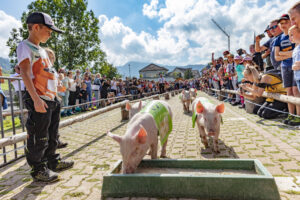 Alpabfahrt, Alpfahrt, Appenzell, Appenzell Ausserrohden, Appenzeller Hinterland, Bauernmarkt, Brauchtum, Landwirtschaft, Ostschweiz, Schwein, Schweine, Schweiz, Sennen, Suisse, Switzerland, Tracht, Urnäsch, Wirtschaft, Öberefahre