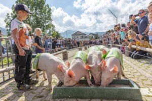 Alpabfahrt, Alpfahrt, Appenzell, Appenzell Ausserrohden, Appenzeller Hinterland, Bauernmarkt, Brauchtum, Landwirtschaft, Ostschweiz, Schwein, Schweine, Schweiz, Sennen, Suisse, Switzerland, Tracht, Urnäsch, Wirtschaft, Öberefahre