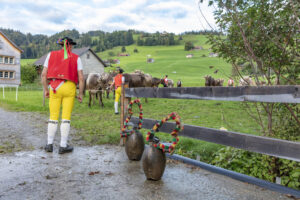 Appenzell, Appenzell Ausserrohden, Autumn, Fall, Herbst, Landwirtschaft, Schweiz, Sennen, Suisse, Switzerland, Tracht, Urnäsch, Viehschau, Wirtschaft, tradition