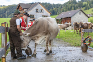 Appenzell, Appenzell Ausserrohden, Autumn, Fall, Herbst, Landwirtschaft, Schweiz, Sennen, Suisse, Switzerland, Tracht, Urnäsch, Viehschau, Wirtschaft, tradition