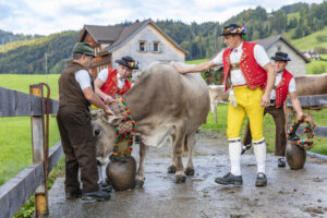 Appenzell, Appenzell Ausserrohden, Autumn, Fall, Herbst, Landwirtschaft, Schweiz, Sennen, Suisse, Switzerland, Tracht, Urnäsch, Viehschau, Wirtschaft, tradition