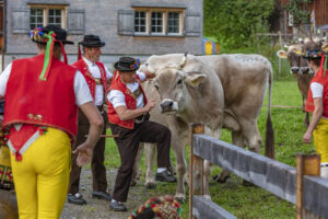 Appenzell, Appenzell Ausserrohden, Autumn, Fall, Herbst, Landwirtschaft, Schweiz, Sennen, Suisse, Switzerland, Tracht, Urnäsch, Viehschau, Wirtschaft, tradition