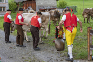 Appenzell, Appenzell Ausserrohden, Autumn, Fall, Herbst, Landwirtschaft, Schweiz, Sennen, Suisse, Switzerland, Tracht, Urnäsch, Viehschau, Wirtschaft, tradition