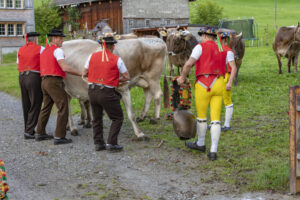 Appenzell, Appenzell Ausserrohden, Autumn, Fall, Herbst, Landwirtschaft, Schweiz, Sennen, Suisse, Switzerland, Tracht, Urnäsch, Viehschau, Wirtschaft, tradition