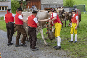 Appenzell, Appenzell Ausserrohden, Autumn, Fall, Herbst, Landwirtschaft, Schweiz, Sennen, Suisse, Switzerland, Tracht, Urnäsch, Viehschau, Wirtschaft, tradition