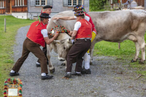 Appenzell, Appenzell Ausserrohden, Autumn, Fall, Herbst, Landwirtschaft, Schweiz, Sennen, Suisse, Switzerland, Tracht, Urnäsch, Viehschau, Wirtschaft, tradition