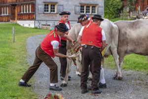 Appenzell, Appenzell Ausserrohden, Autumn, Fall, Herbst, Landwirtschaft, Schweiz, Sennen, Suisse, Switzerland, Tracht, Urnäsch, Viehschau, Wirtschaft, tradition