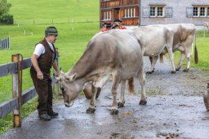 Appenzell, Appenzell Ausserrohden, Autumn, Fall, Herbst, Landwirtschaft, Schweiz, Sennen, Suisse, Switzerland, Tracht, Urnäsch, Viehschau, Wirtschaft, tradition