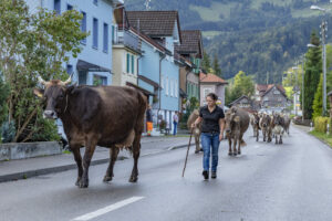 Appenzell, Appenzell Ausserrohden, Autumn, Fall, Herbst, Landwirtschaft, Schweiz, Sennen, Suisse, Switzerland, Tracht, Urnäsch, Viehschau, Wirtschaft, tradition