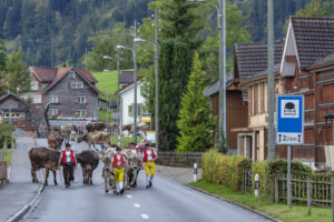 Appenzell, Appenzell Ausserrohden, Autumn, Fall, Herbst, Landwirtschaft, Schweiz, Sennen, Suisse, Switzerland, Tracht, Urnäsch, Viehschau, Wirtschaft, tradition