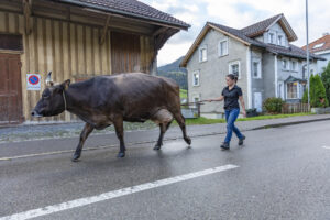 Appenzell, Appenzell Ausserrohden, Autumn, Fall, Herbst, Landwirtschaft, Schweiz, Sennen, Suisse, Switzerland, Tracht, Urnäsch, Viehschau, Wirtschaft, tradition