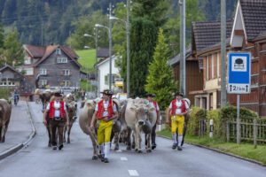 Appenzell, Appenzell Ausserrohden, Autumn, Fall, Herbst, Landwirtschaft, Schweiz, Sennen, Suisse, Switzerland, Tracht, Urnäsch, Viehschau, Wirtschaft, tradition