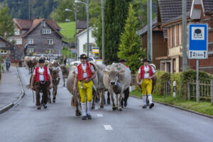 Appenzell, Appenzell Ausserrohden, Autumn, Fall, Herbst, Landwirtschaft, Schweiz, Sennen, Suisse, Switzerland, Tracht, Urnäsch, Viehschau, Wirtschaft, tradition