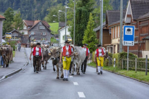 Appenzell, Appenzell Ausserrohden, Autumn, Fall, Herbst, Landwirtschaft, Schweiz, Sennen, Suisse, Switzerland, Tracht, Urnäsch, Viehschau, Wirtschaft, tradition