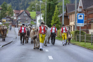 Appenzell, Appenzell Ausserrohden, Autumn, Fall, Herbst, Landwirtschaft, Schweiz, Sennen, Suisse, Switzerland, Tracht, Urnäsch, Viehschau, Wirtschaft, tradition