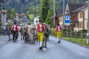 Appenzell, Appenzell Ausserrohden, Autumn, Fall, Herbst, Landwirtschaft, Schweiz, Sennen, Suisse, Switzerland, Tracht, Urnäsch, Viehschau, Wirtschaft, tradition