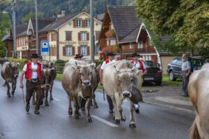 Appenzell, Appenzell Ausserrohden, Autumn, Fall, Herbst, Landwirtschaft, Schweiz, Sennen, Suisse, Switzerland, Tracht, Urnäsch, Viehschau, Wirtschaft, tradition