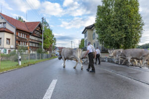Appenzell, Appenzell Ausserrohden, Autumn, Fall, Herbst, Landwirtschaft, Schweiz, Sennen, Suisse, Switzerland, Tracht, Urnäsch, Viehschau, Wirtschaft, tradition